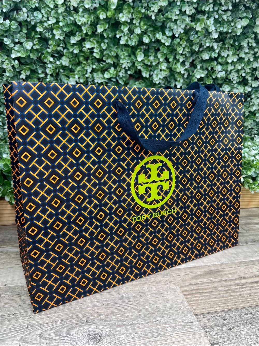 Tory Burch Shopping Gift Bag Tote